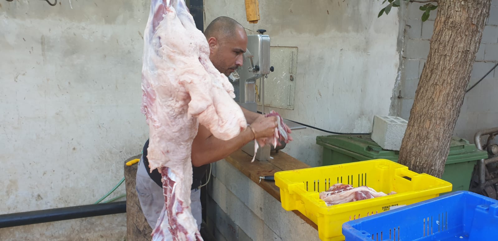 WhatsApp Image 2020-08-24 at 8.14.24 AM.jpeg.jpeg